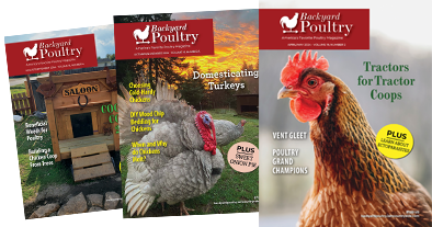 Backyard Poultry magazine cover images.